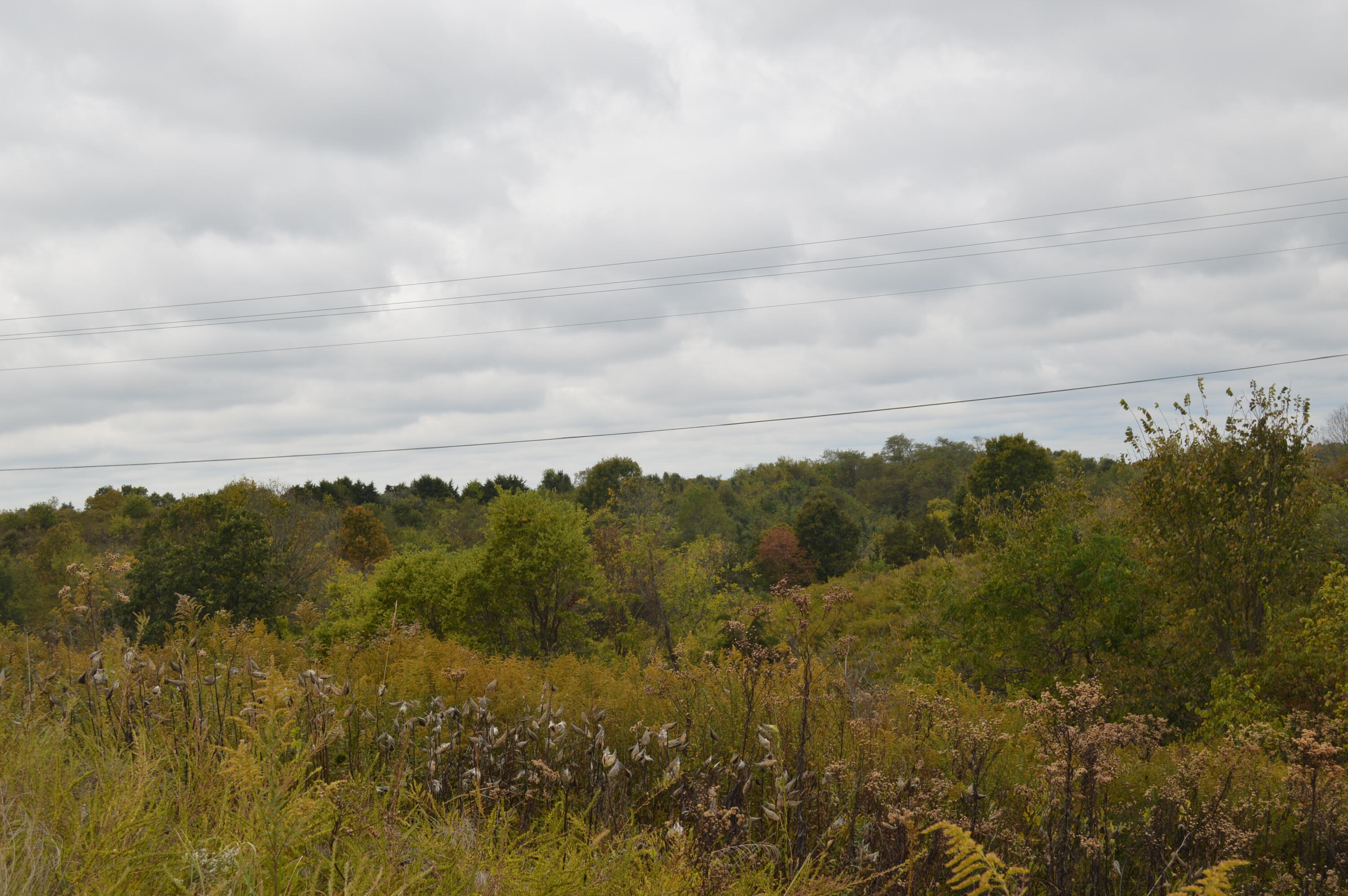 Lot #1 Georgetown Road Owenton, KY 40359 - Photo 10 of 12