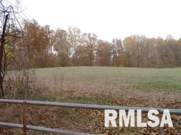 1670 B State Pond Road Jonesboro, IL 62952 - Photo 1 of 1 Gallery Image 1