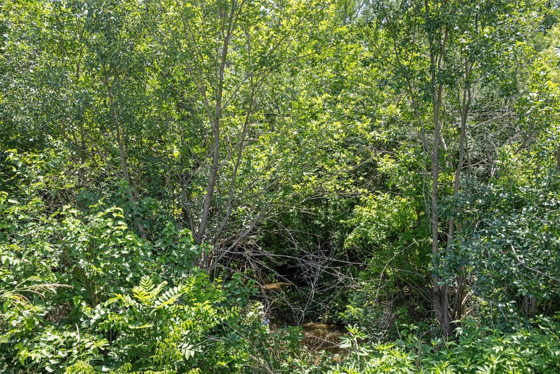 0 Fm-969 Road Manor, TX 78653 - Photo 9 of 33 a view of a lush green forest