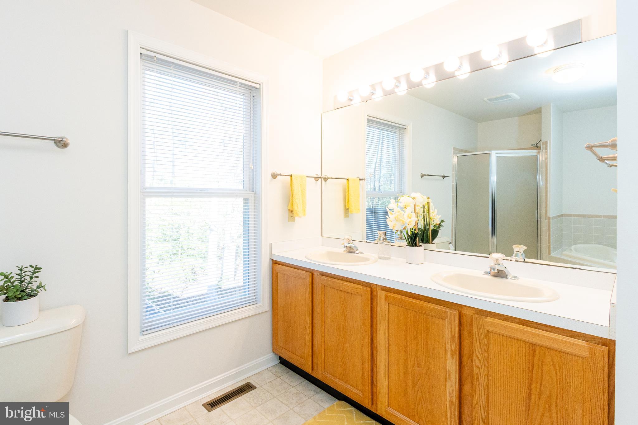 20753 Chestnut Ridge Drive Leonardtown, MD 20650 - Photo 30 of 45 a bathroom with a double vanity sink and a mirror