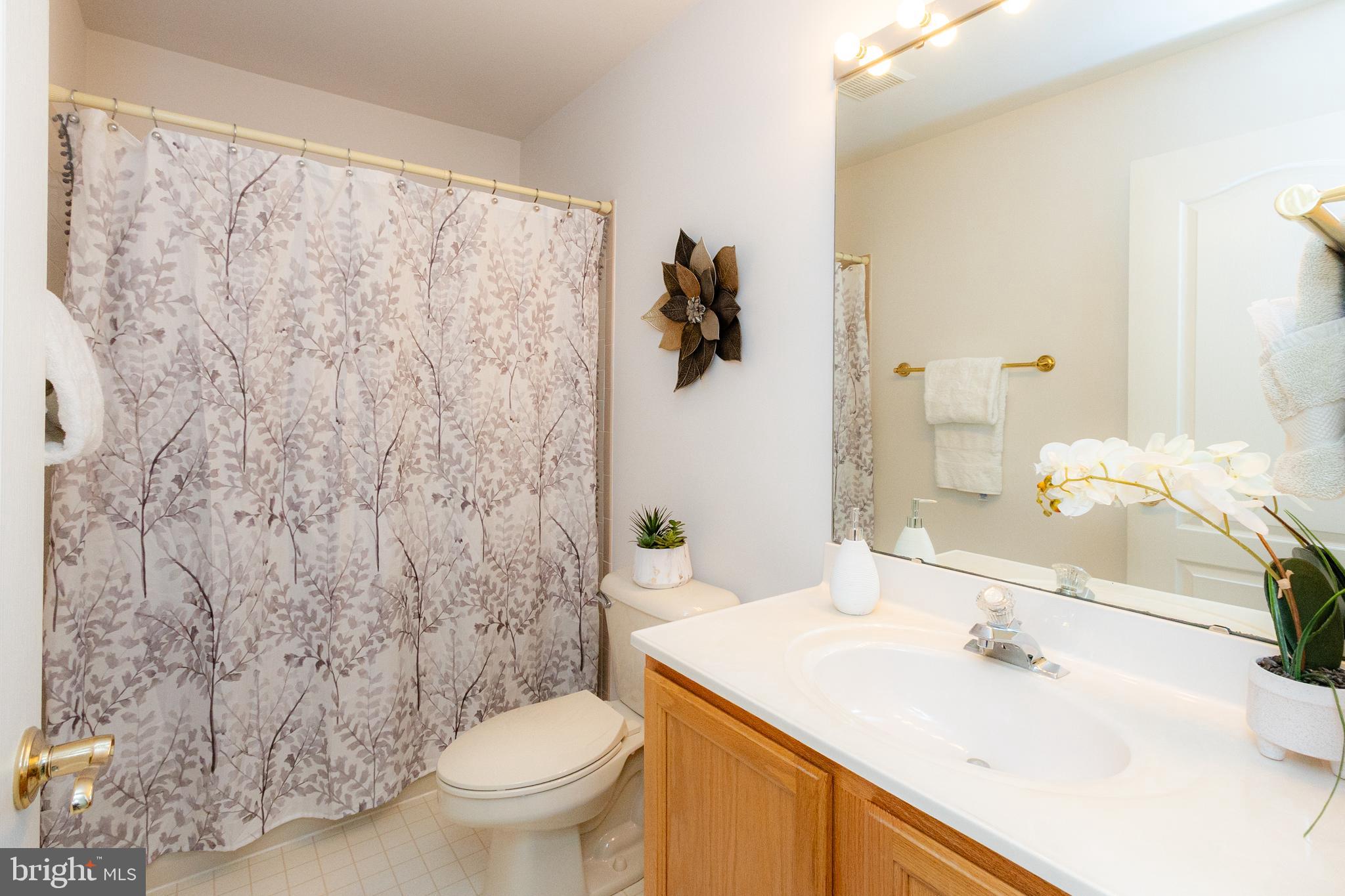 20753 Chestnut Ridge Drive Leonardtown, MD 20650 - Photo 34 of 45 a bathroom with a sink and toilet