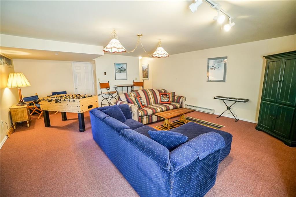 1276 South Crystal Road Lake George, CO 80827 - Photo 16 of 25 a living room with furniture a chandelier and a dining table