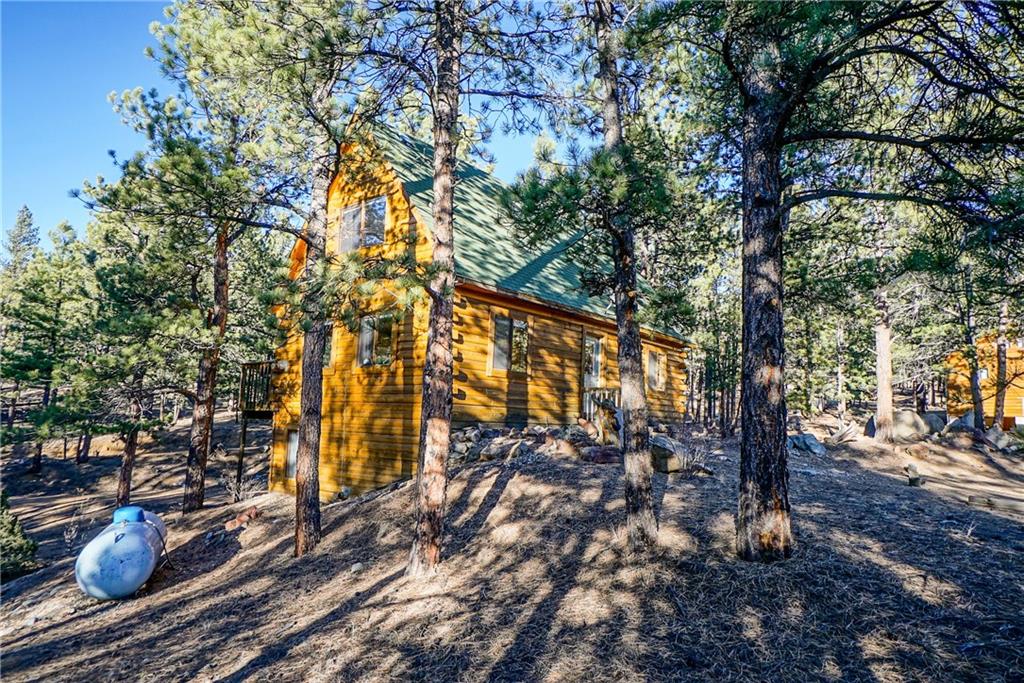1276 South Crystal Road Lake George, CO 80827 - Photo 25 of 25 a view of outdoor space