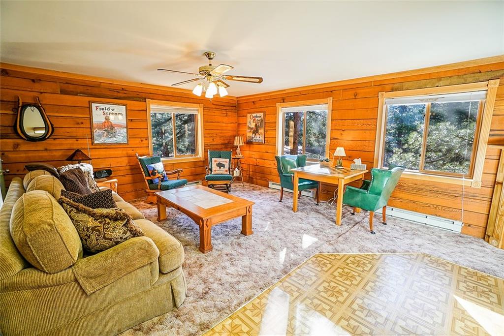 1276 South Crystal Road Lake George, CO 80827 - Photo 5 of 25 a living room with furniture a rug and a large window