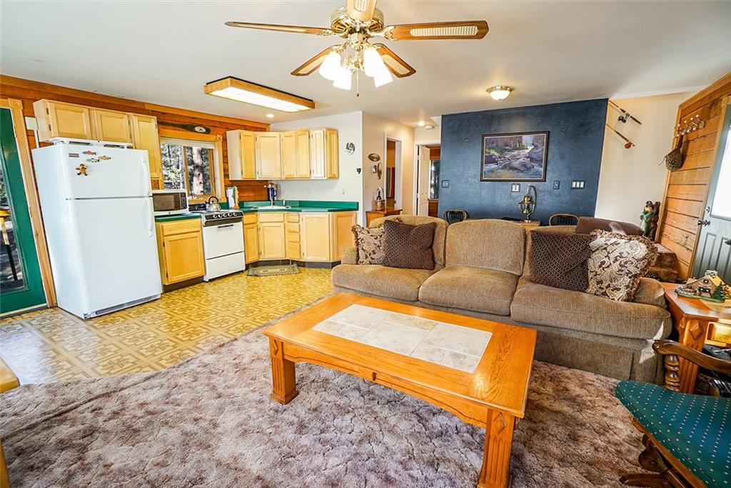 1276 South Crystal Road Lake George, CO 80827 - Photo 7 of 25 a living room with furniture and a fireplace