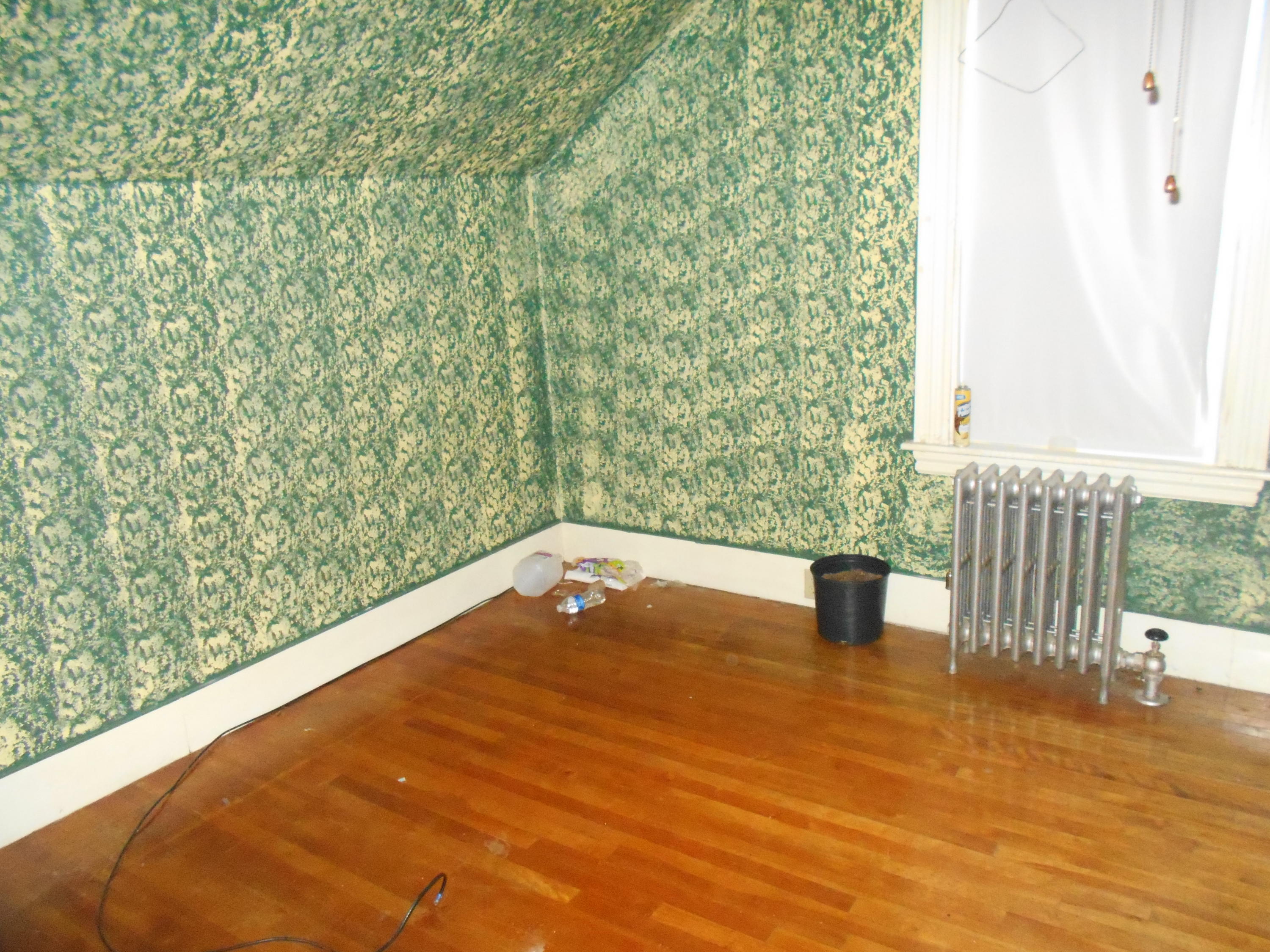 121 Poplar Street Millinocket, ME 04462 - Photo 18 of 24 DSCN4045