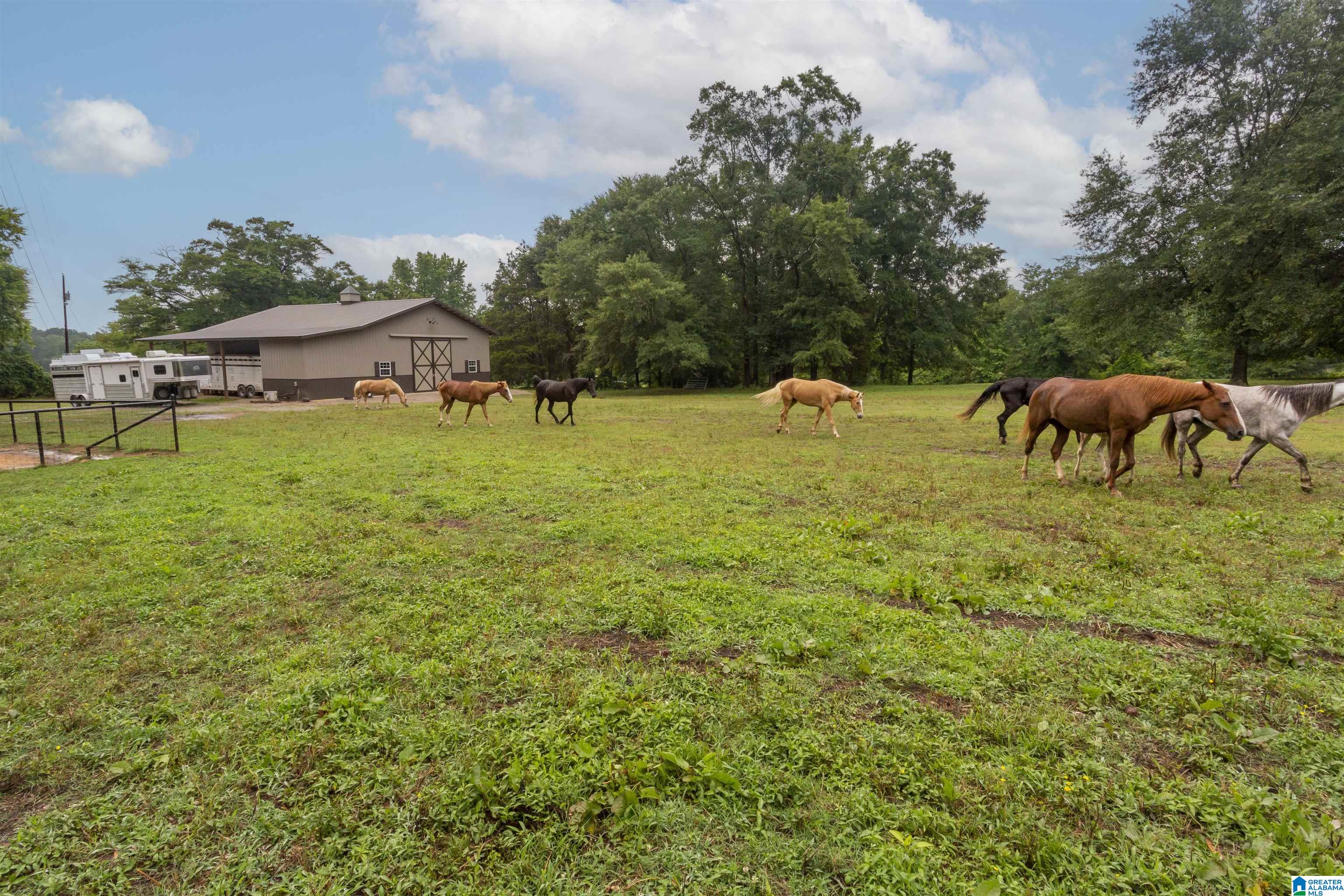 1661 Honeycutt Road Locust Fork, AL 35097 - Photo 47 of 49