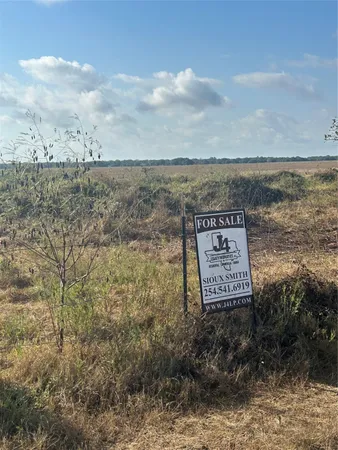 a view of a dry yard