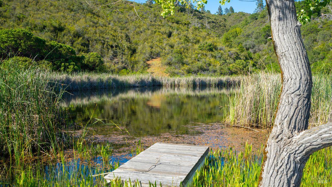 31909 Green Road Cloverdale, CA 95425 - Photo 24 of 25 a view of lake from a yard