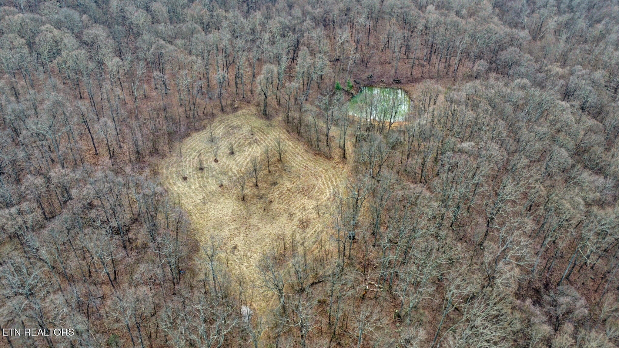 1017 Hinch Mountain Road Crossville, TN 38555 - Photo 11 of 47 dji_0151-dji_0153