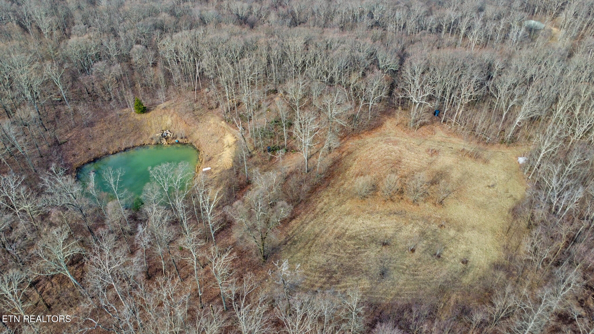 1017 Hinch Mountain Road Crossville, TN 38555 - Photo 13 of 47 dji_0157-dji_0159