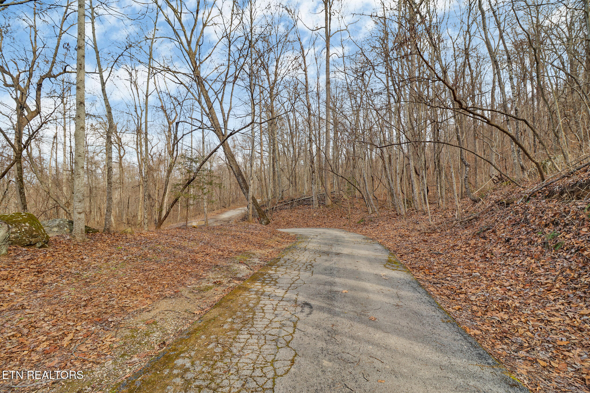 1017 Hinch Mountain Road Crossville, TN 38555 - Photo 18 of 47 if1a0861-if1a0865