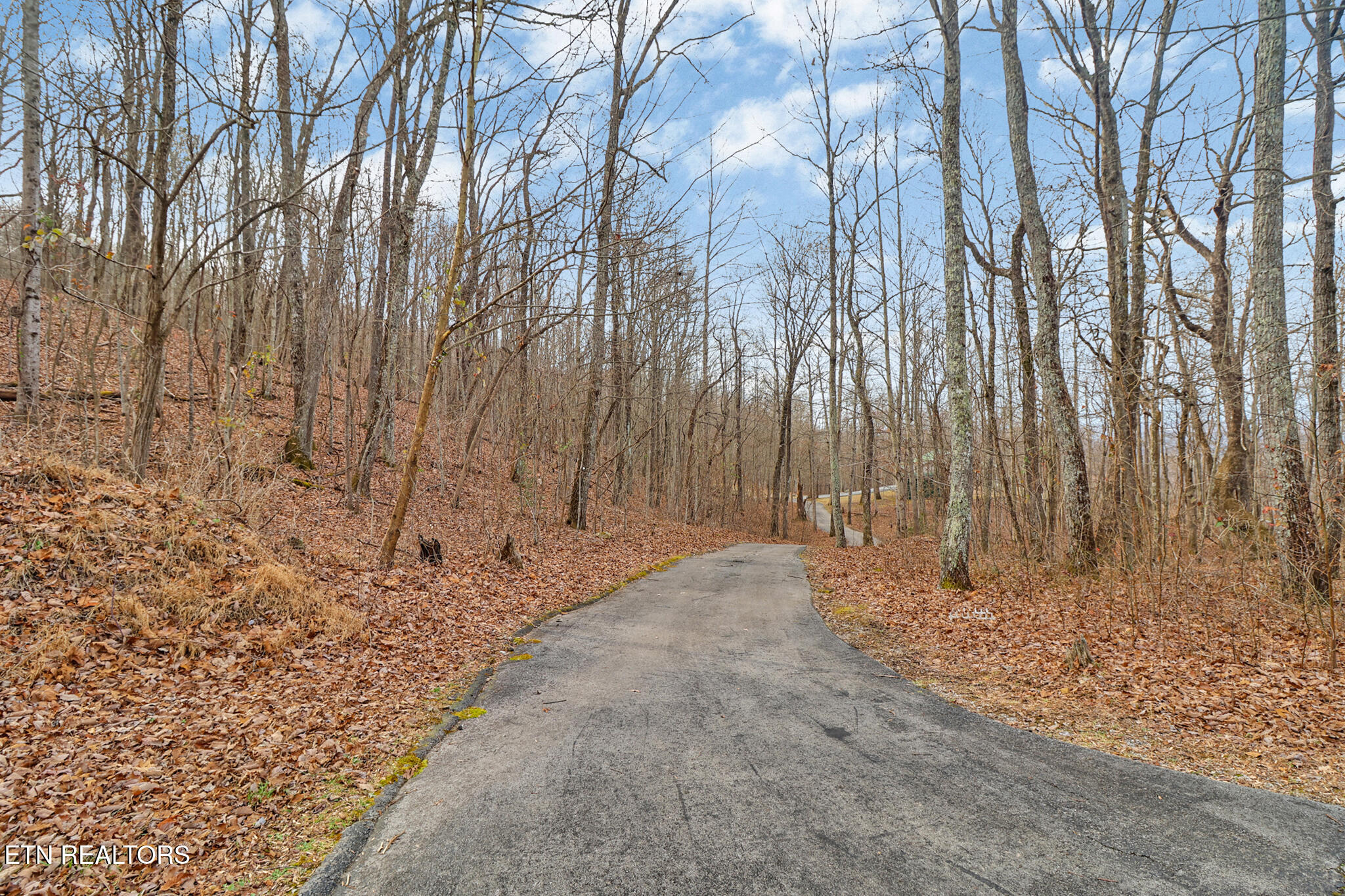 1017 Hinch Mountain Road Crossville, TN 38555 - Photo 19 of 47 if1a0866-if1a0870