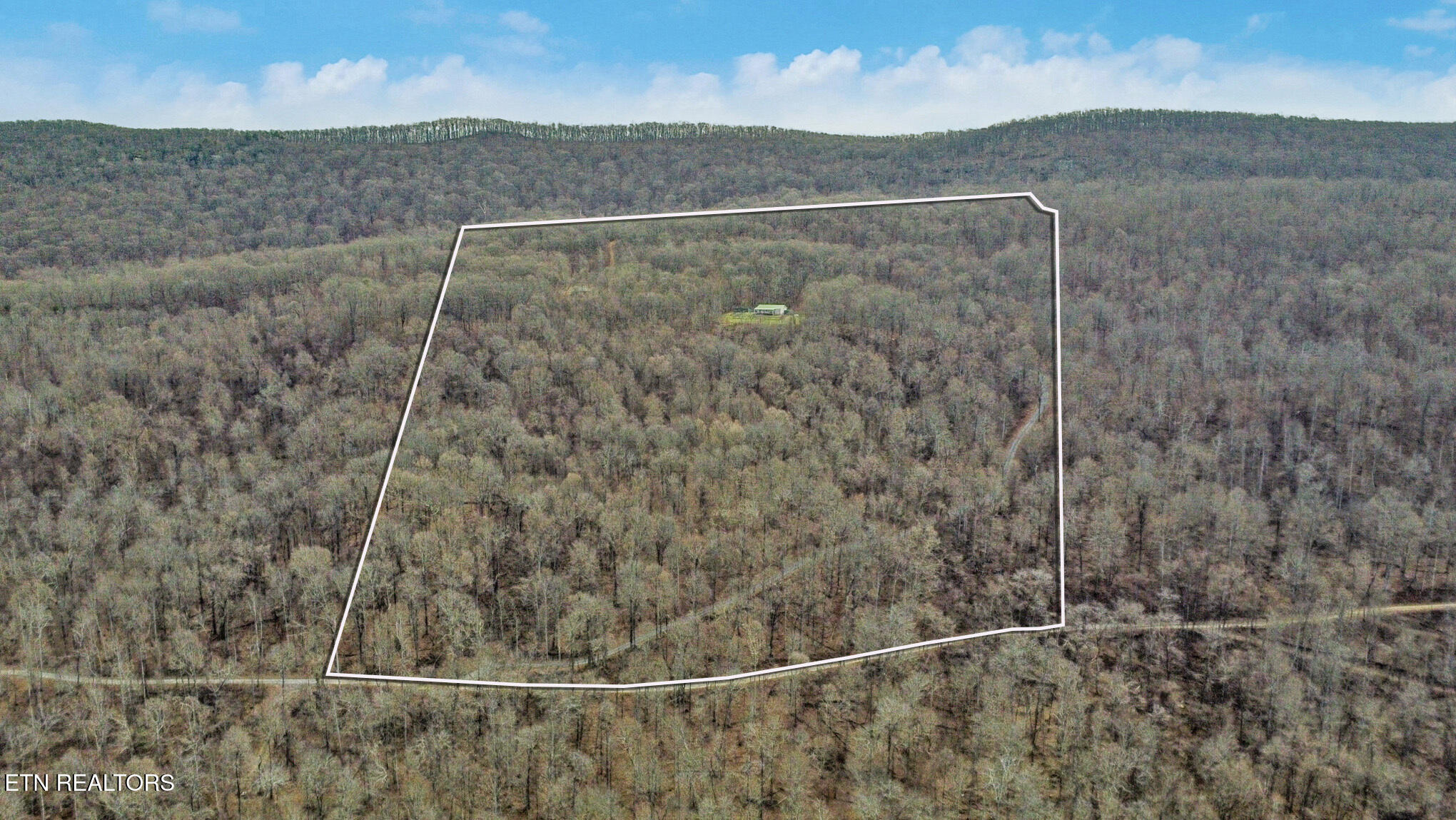 1017 Hinch Mountain Road Crossville, TN 38555 - Photo 3 of 47 3