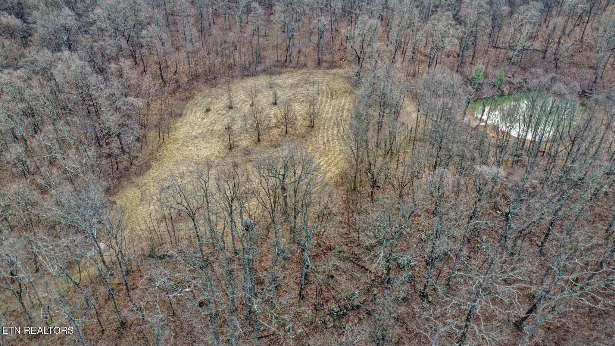 1017 Hinch Mountain Road Crossville, TN 38555 - Photo 10 of 47 dji_0148-dji_0150