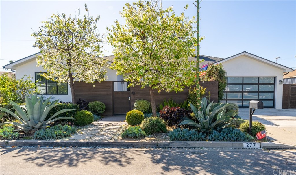 a view of a backyard with plants and palm trees