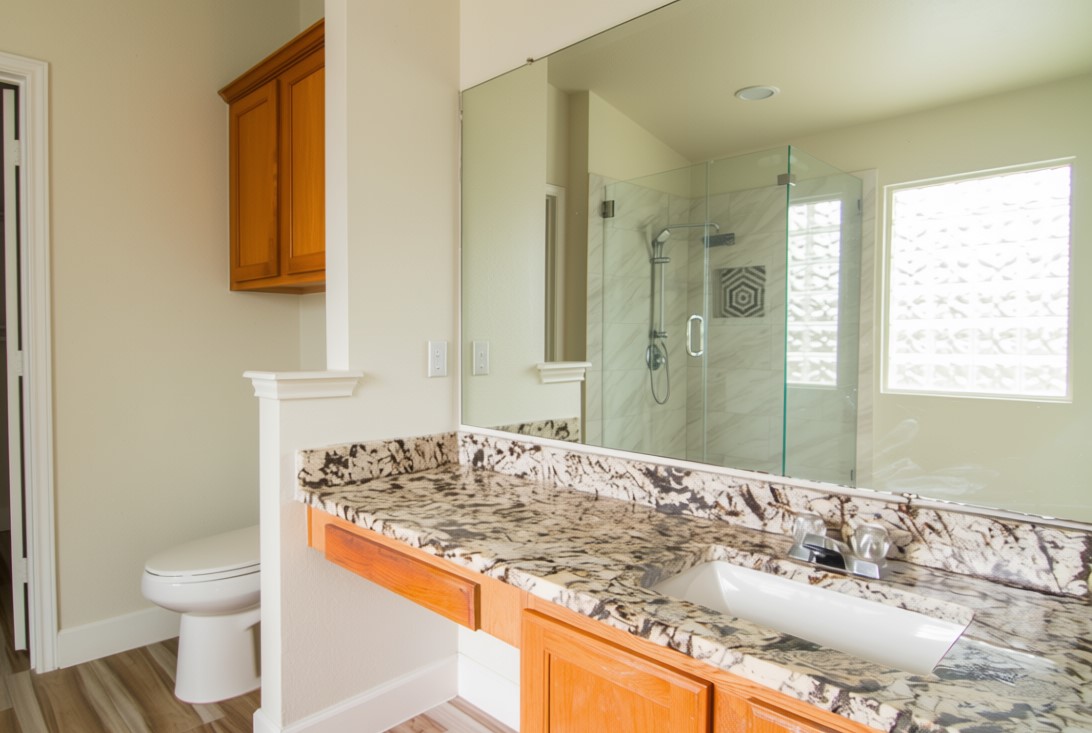 1431 Roxanne's Run Pflugerville, TX 78660 - Photo 21 of 29 Bathroom with a stall shower, vanity, and light wood-style flooring