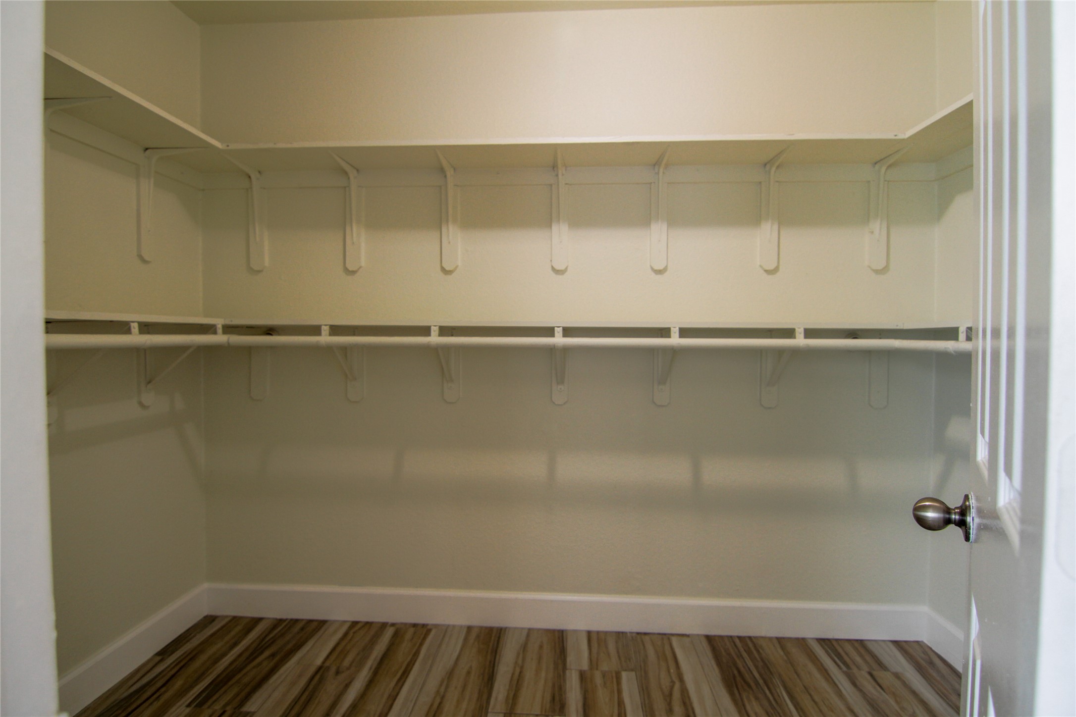 1431 Roxanne's Run Pflugerville, TX 78660 - Photo 23 of 29 Walk in closet with wood finished floors
