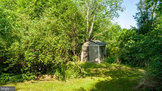 a view of a garden with plants
