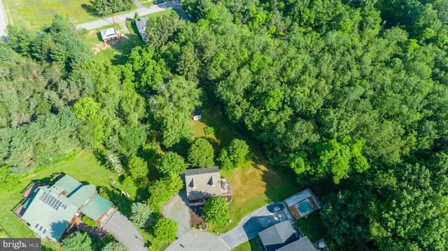 a view of a park with large trees