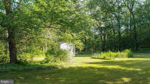 a view of yard with green space