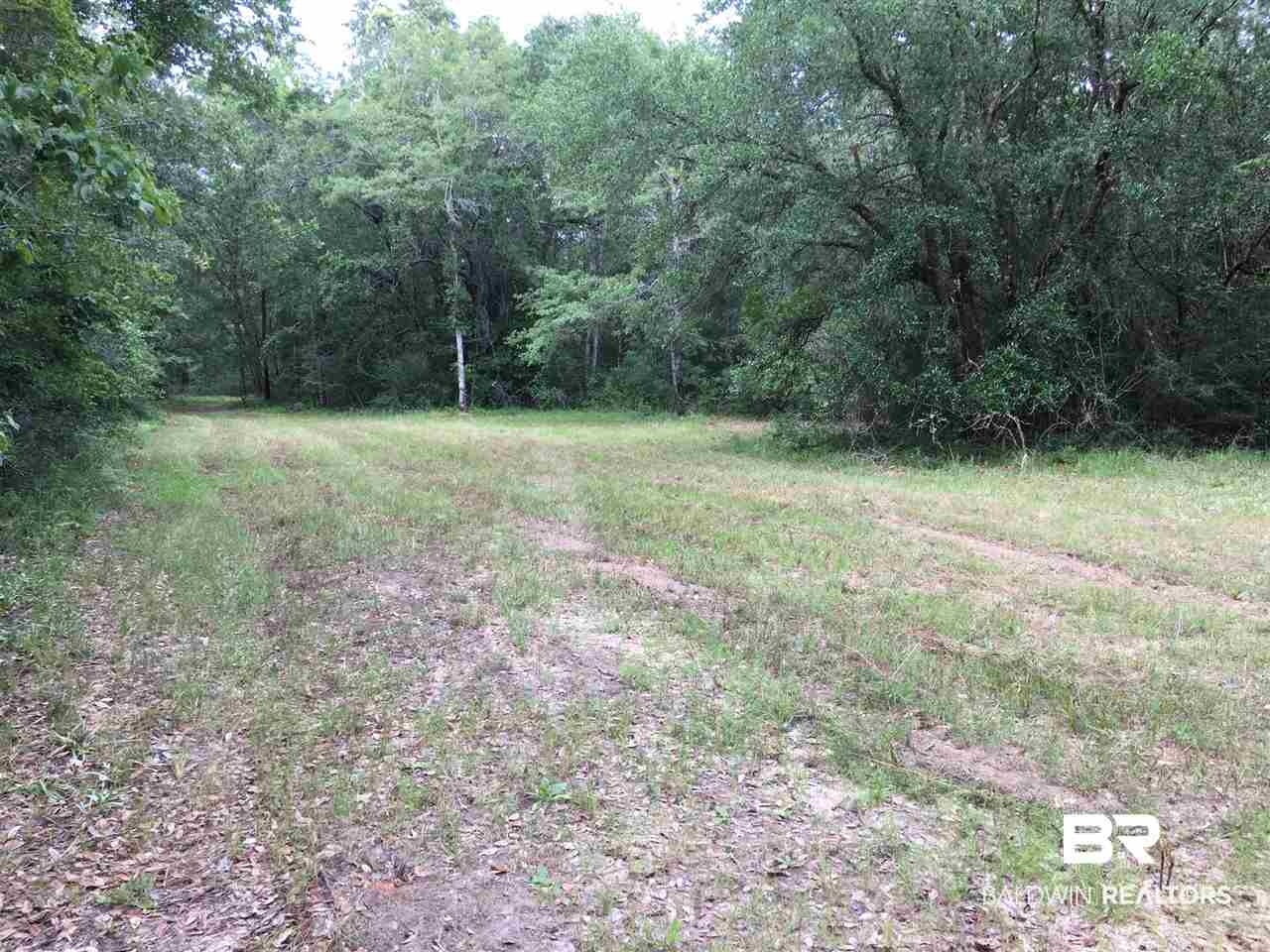 0 New Hope Church Road Robertsdale, AL 36567 - Photo 5 of 17