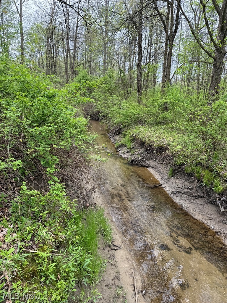 V/l Donley Road Middlefield, OH 44062 - Photo 21 of 30