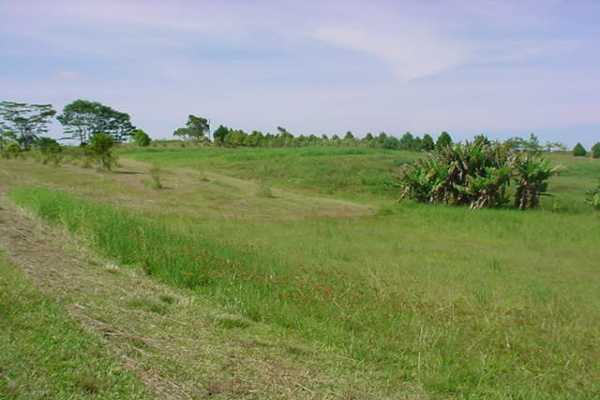 2390 Kaiwiki Road, Unit II Hilo, HI 96720 - Photo 1 of 5 a view of a field with a building in background