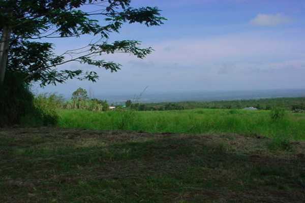 2390 Kaiwiki Road, Unit II Hilo, HI 96720 - Photo 3 of 5 a view of a yard