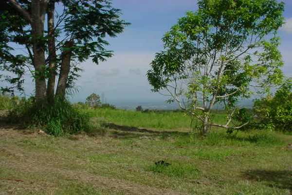2390 Kaiwiki Road, Unit II Hilo, HI 96720 - Photo 5 of 5 a view of a yard