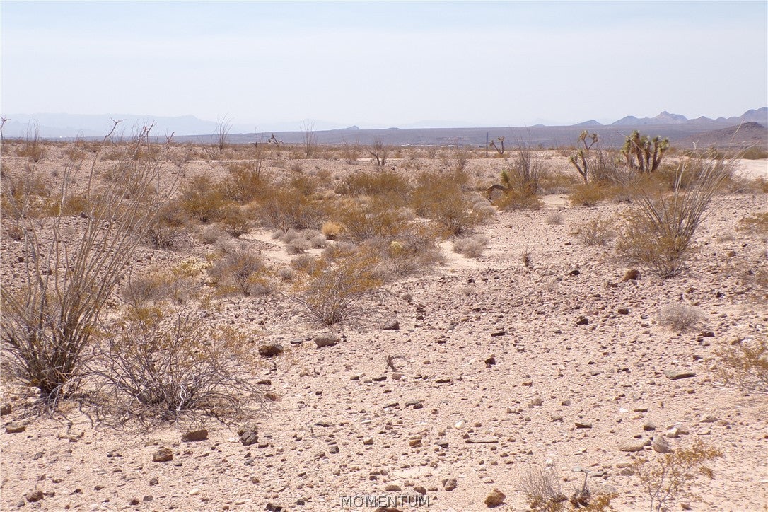 207-18-010 West Santa Fe Ranch Road Yucca, AZ 86438 - Photo 17 of 34 Gallery Image 17