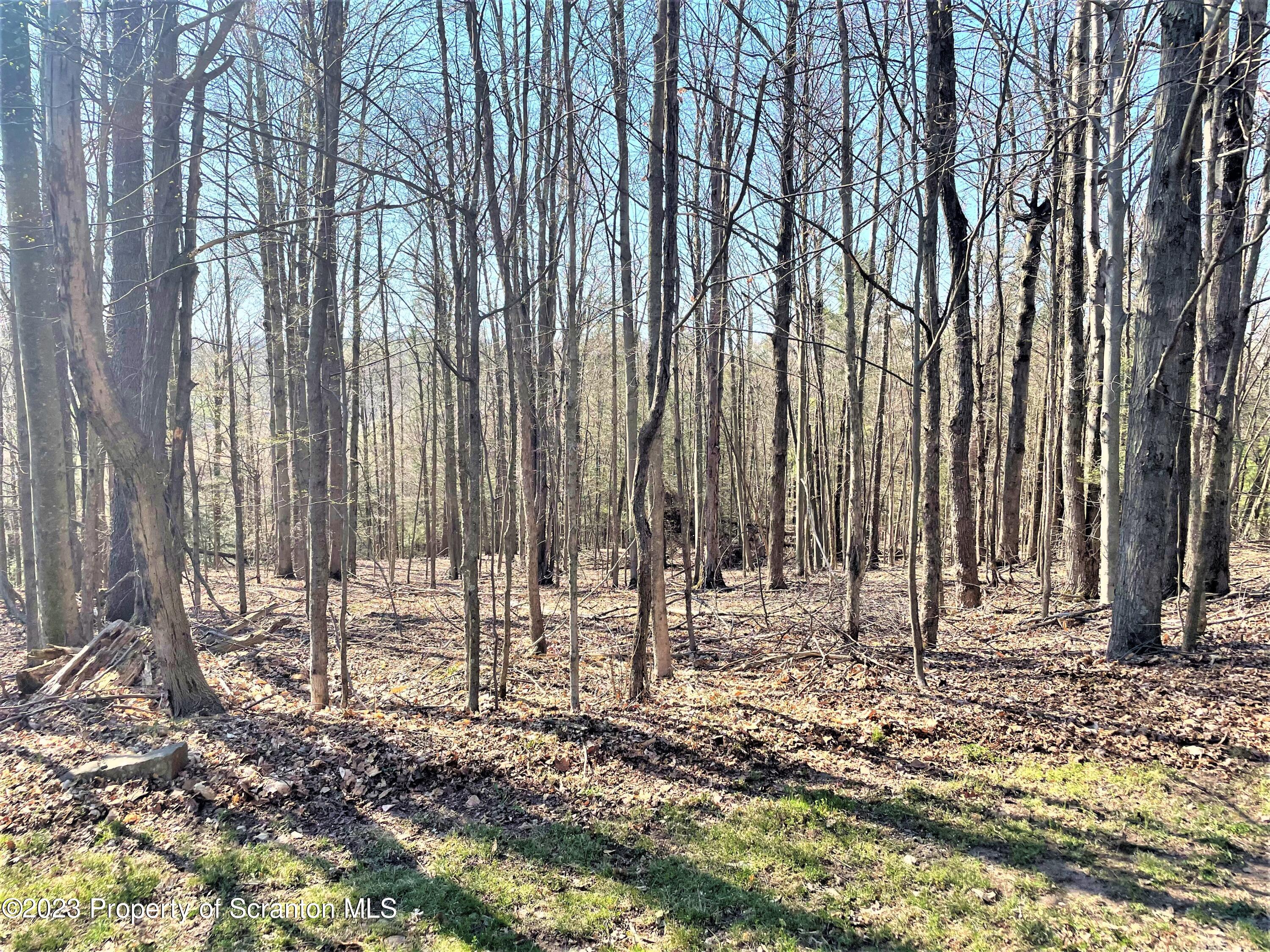 857 Hunsinger Road Springville, PA 18844 - Photo 11 of 34