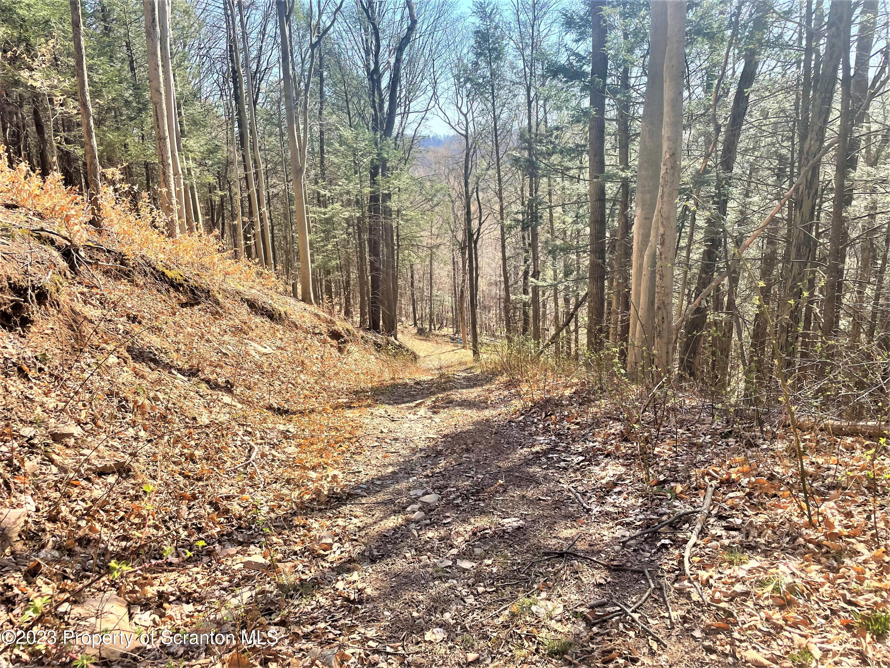 857 Hunsinger Road Springville, PA 18844 - Photo 12 of 34