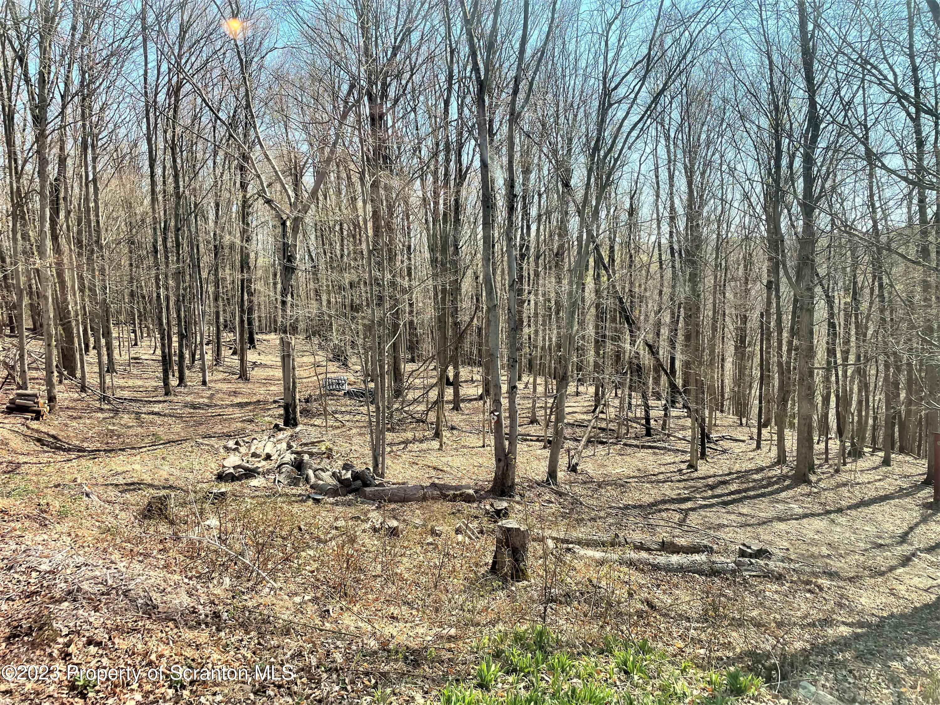 857 Hunsinger Road Springville, PA 18844 - Photo 6 of 34