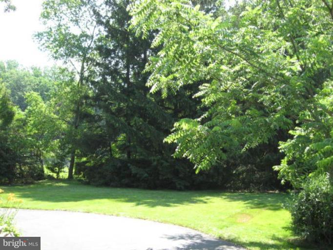 2805 Harford Road Fallston, MD 21047 - Photo 3 of 9 a view of a yard with a tree