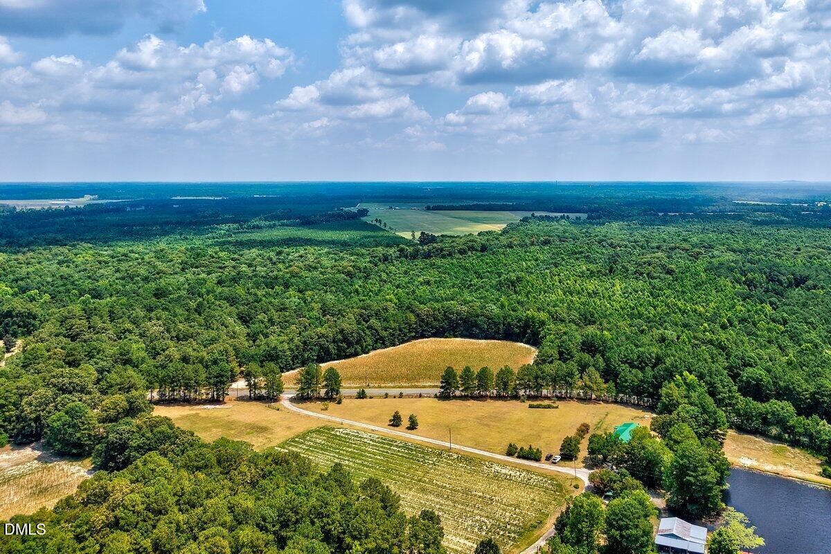 Lot 1 Ruth Vinson Road Autryville, NC 28318 - Photo 6 of 6 Ruth Vinson Rd-1