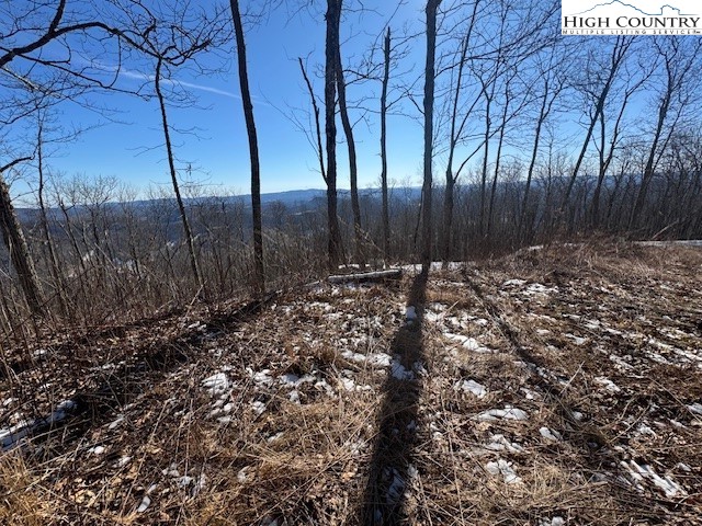 88 Relaxation Point Todd, NC 28684 - Photo 2 of 17