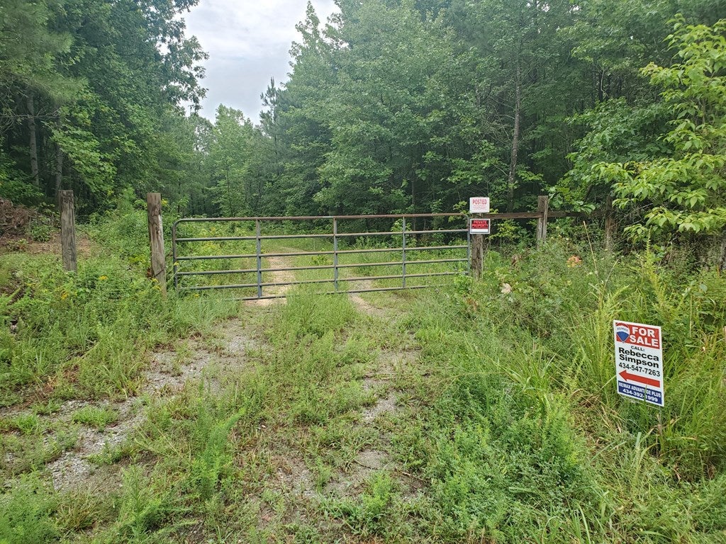 Washout Road Keysville, VA 23947 - Photo 2 of 7 Gallery Image 2