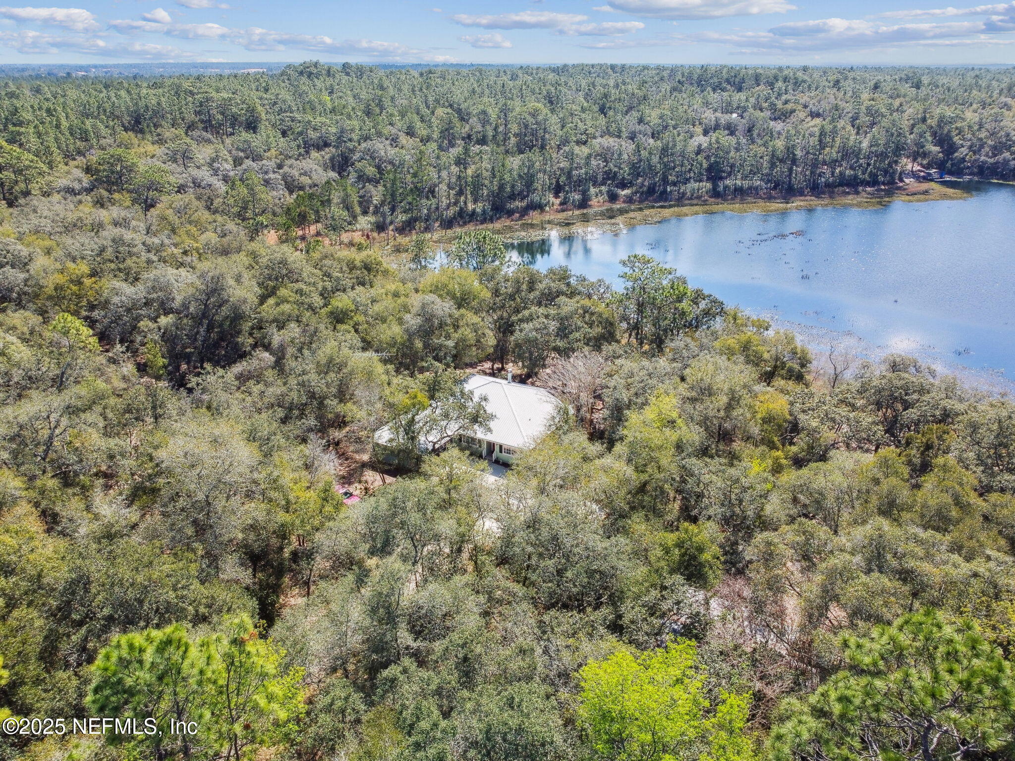 117 Gator Trail Melrose, FL 32666 - Photo 46 of 67 a view of a lake with a mountain and trees