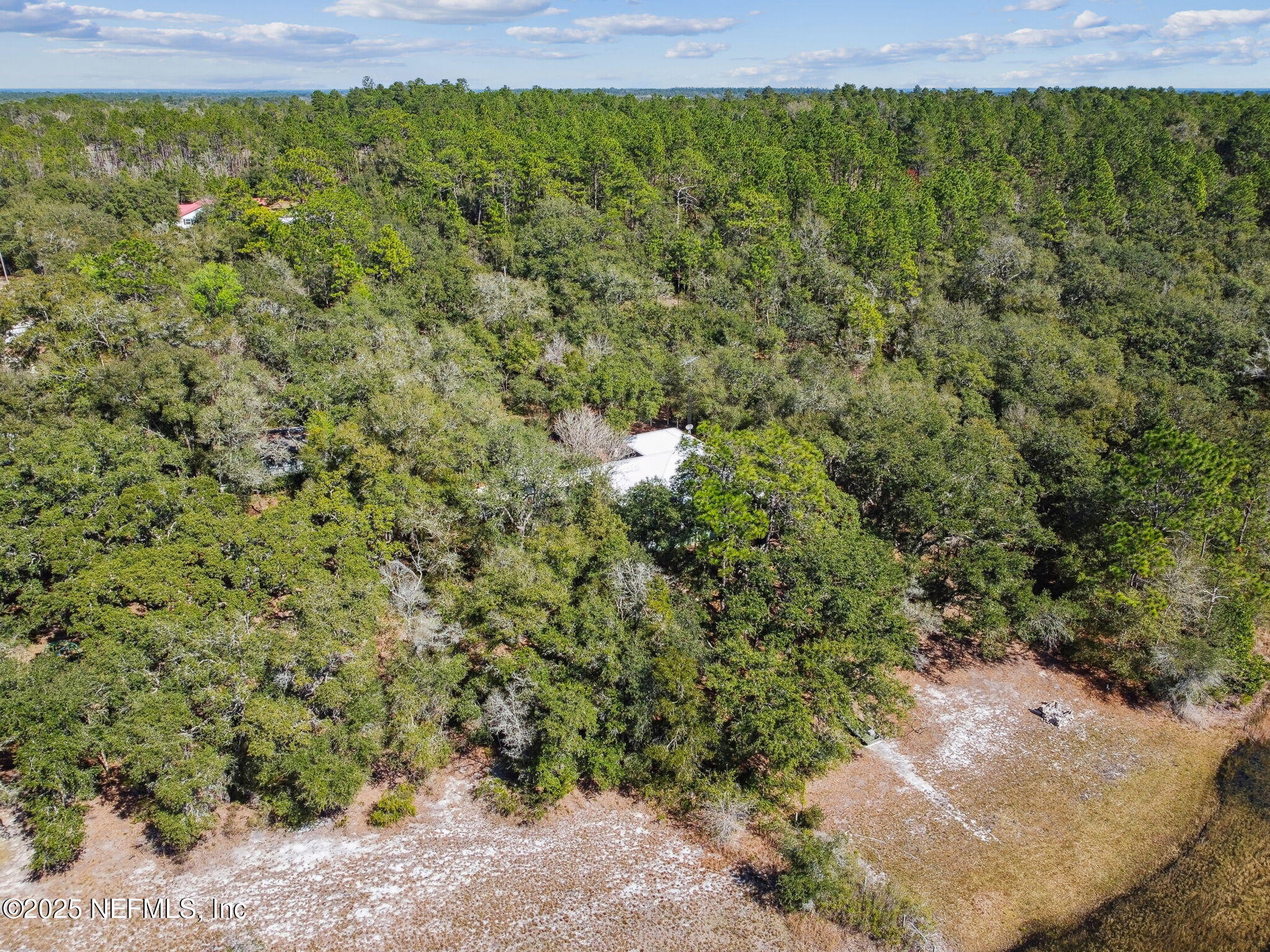 117 Gator Trail Melrose, FL 32666 - Photo 49 of 67 a view of a bunch of trees and bushes