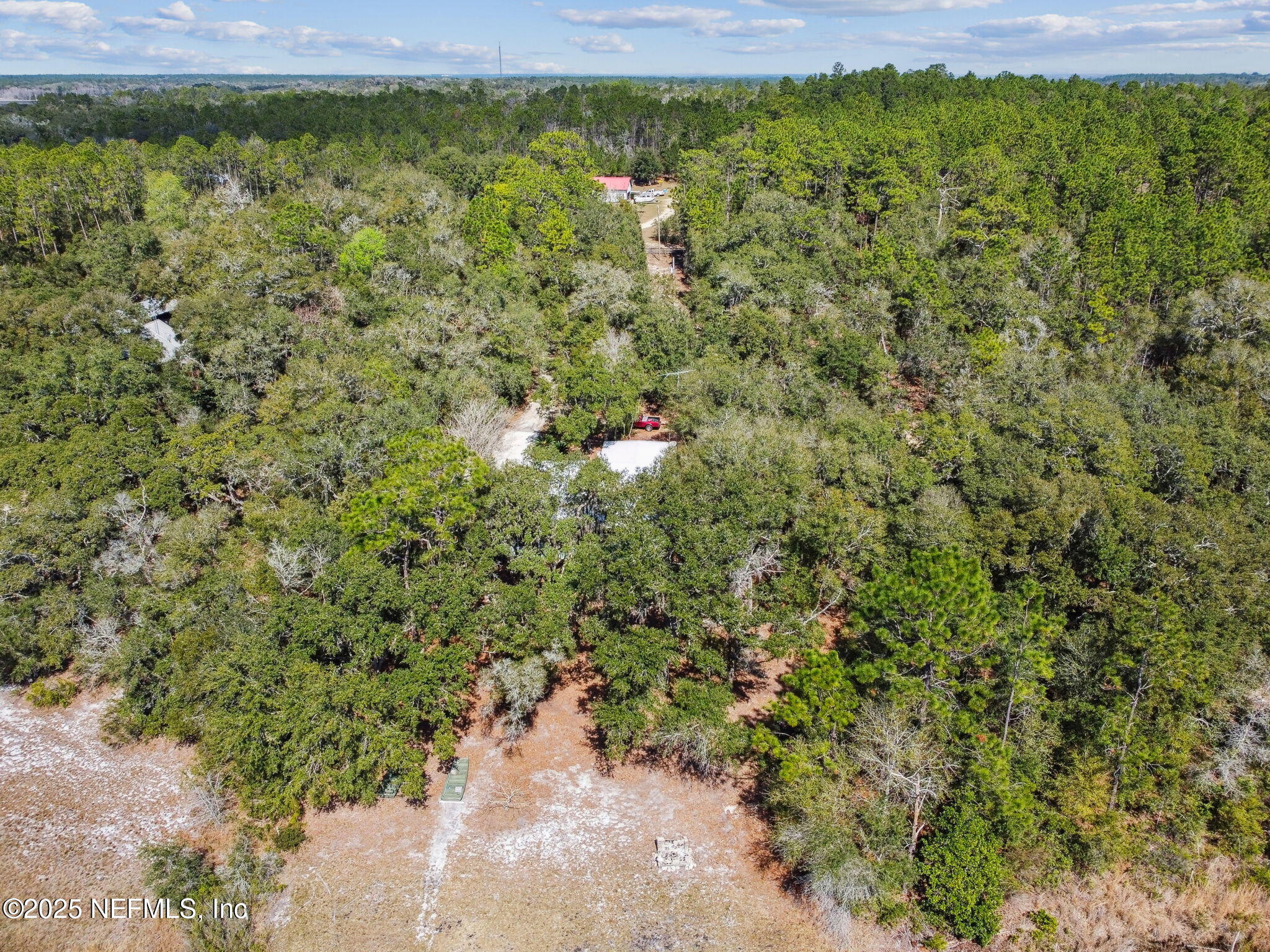 117 Gator Trail Melrose, FL 32666 - Photo 50 of 67 a view of a big yard with lots of green space and plants