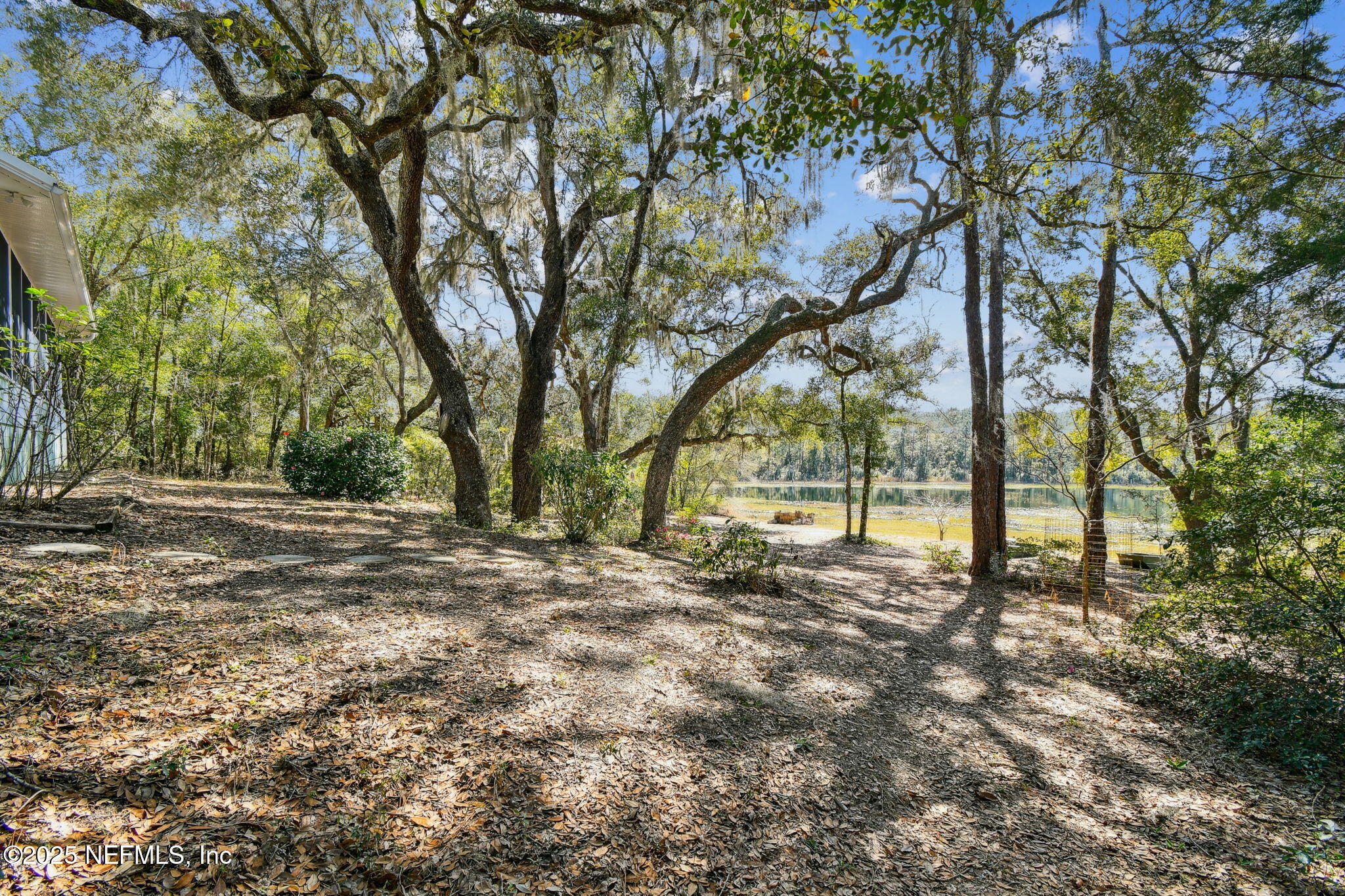 117 Gator Trail Melrose, FL 32666 - Photo 60 of 67 a view of dirt yard with a large tree