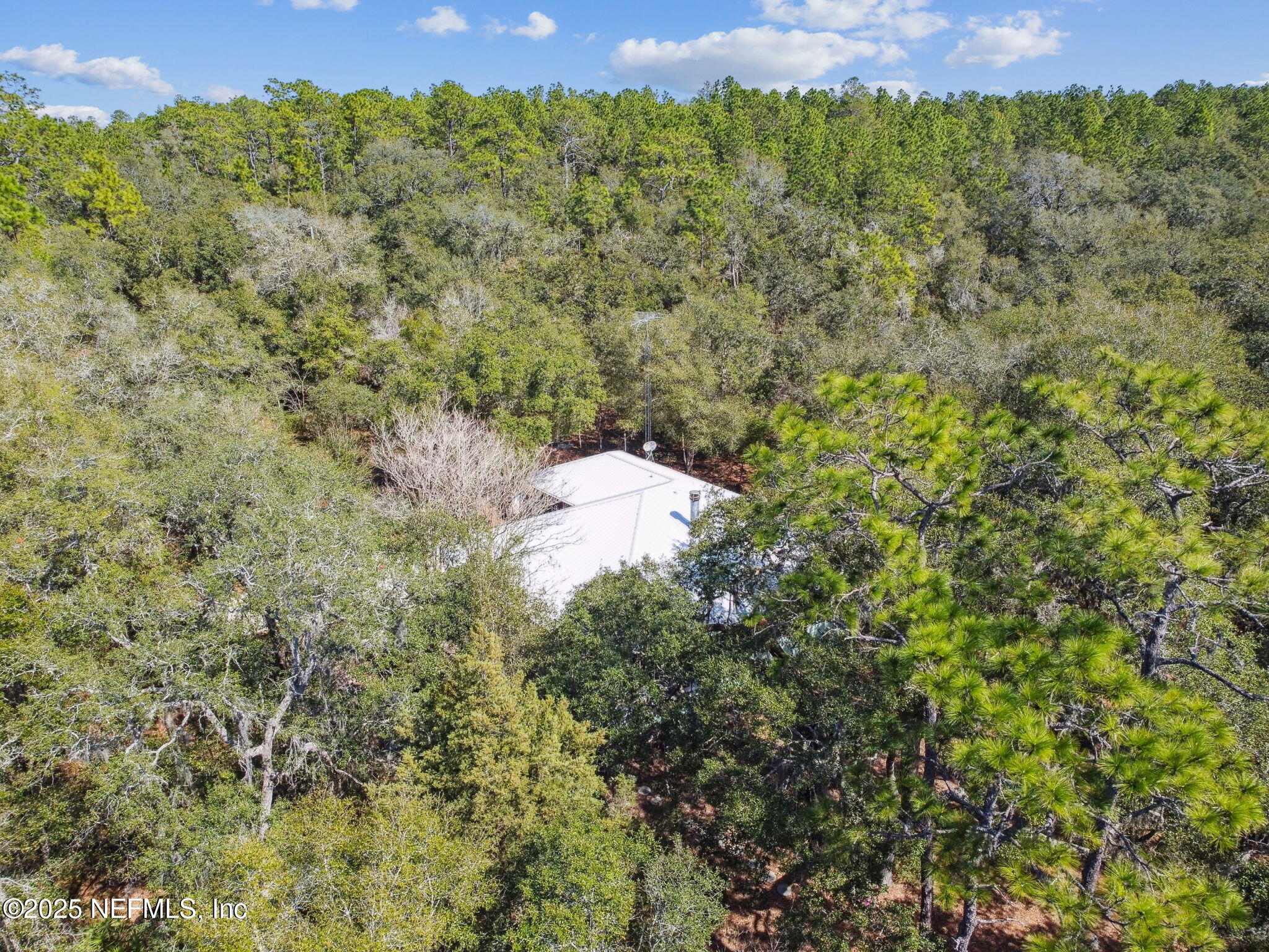 117 Gator Trail Melrose, FL 32666 - Photo 63 of 67 a view of a bunch of trees and bushes