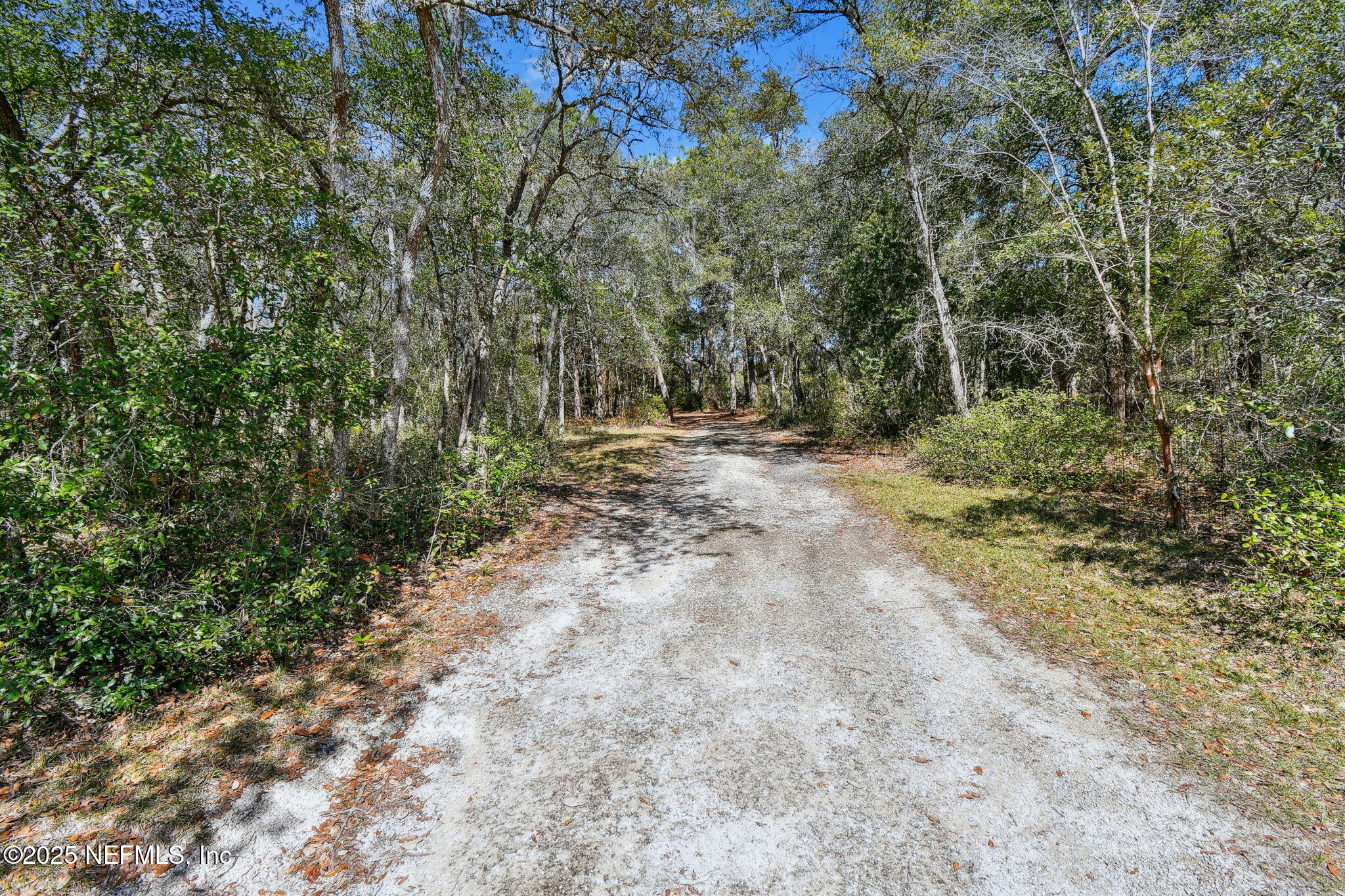 117 Gator Trail Melrose, FL 32666 - Photo 65 of 67 49-DSC_9296