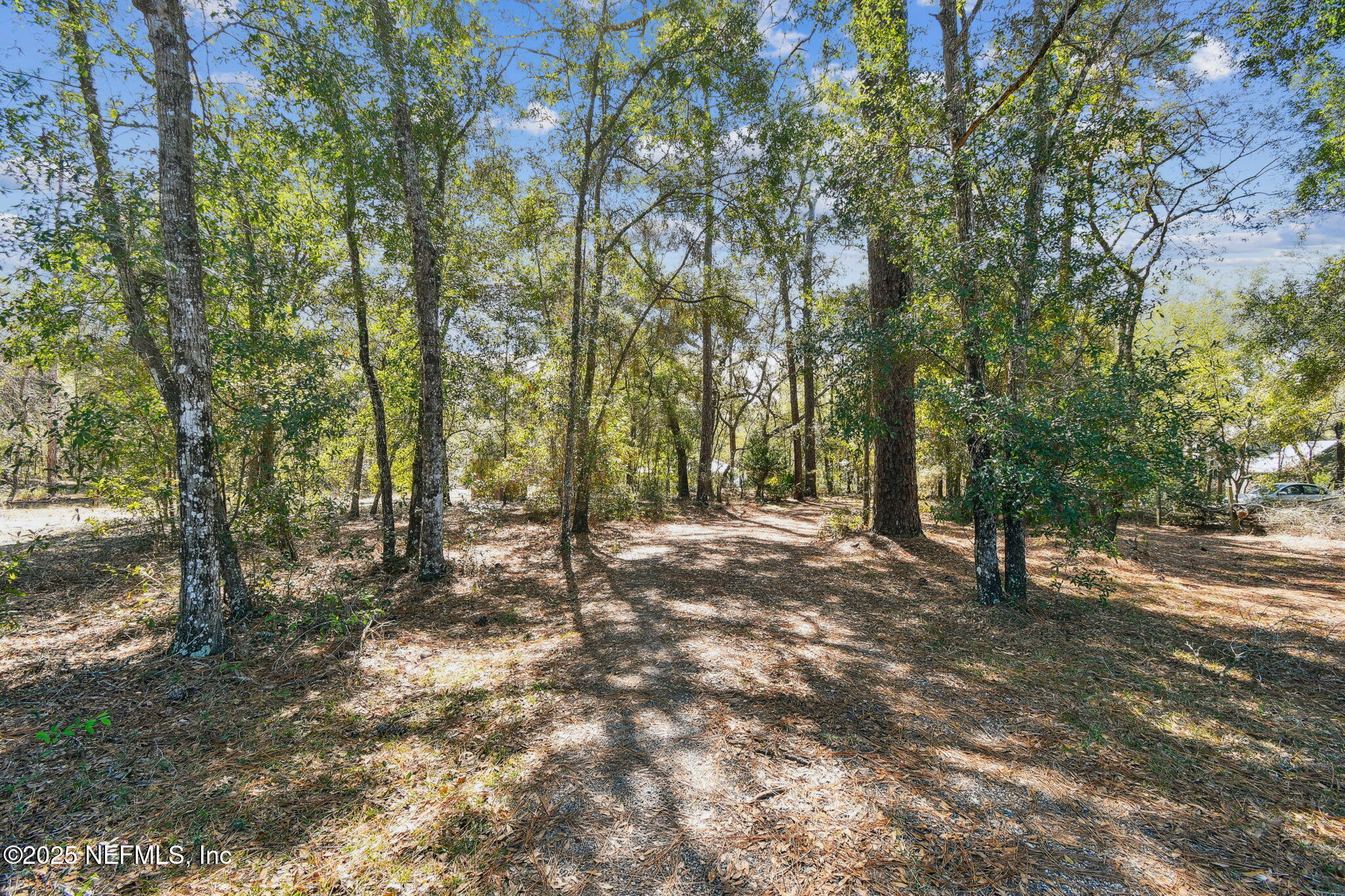 117 Gator Trail Melrose, FL 32666 - Photo 66 of 67 50-DSC_9303