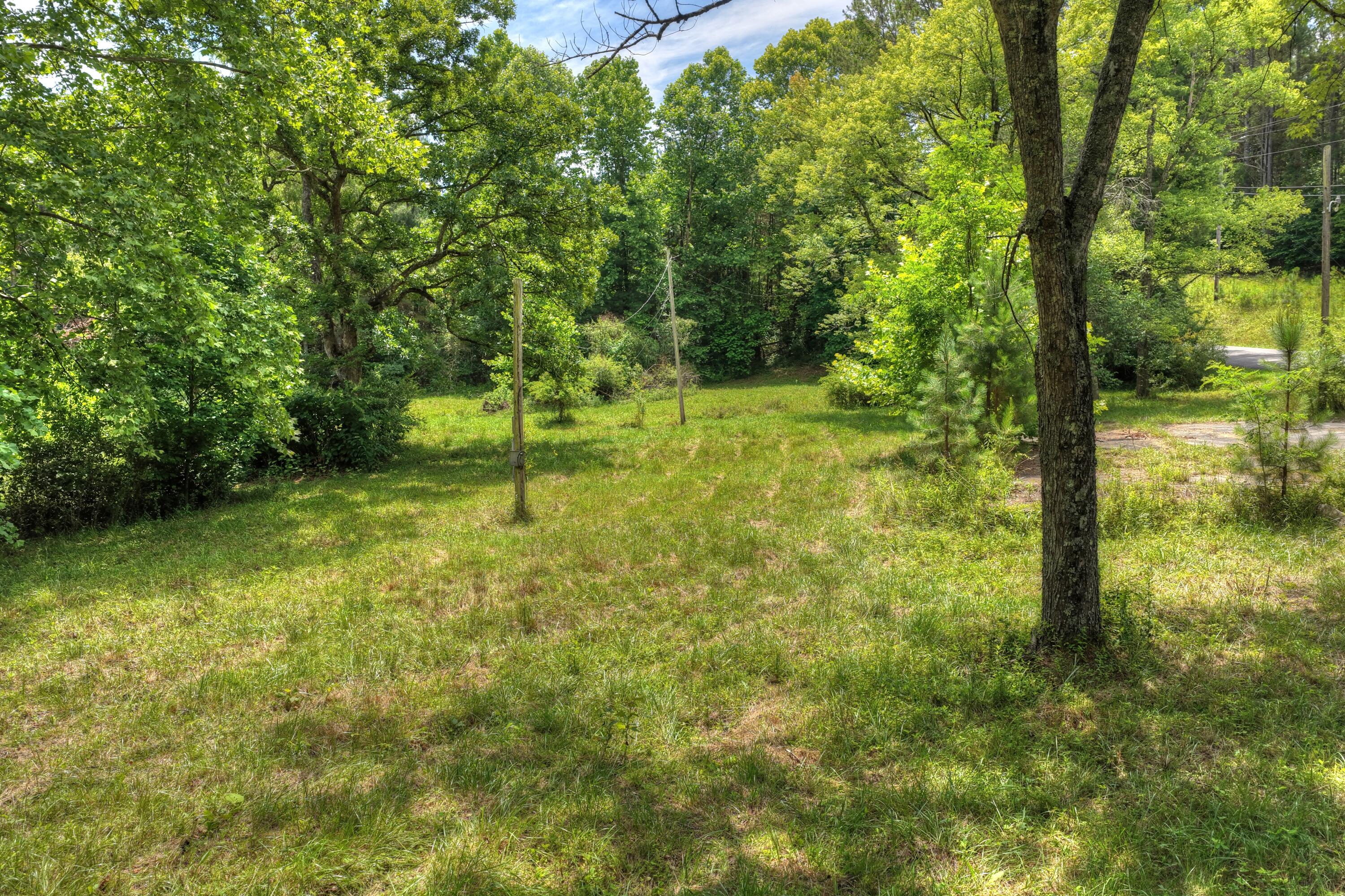 526 Airport Road Copperhill, TN 37317 - Photo 6 of 28 Airport Rd Byrd Property (5)