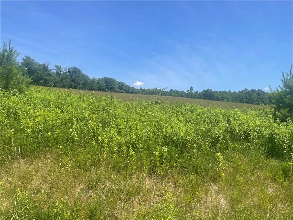 Schlafer Road Bainbridge, NY 13733 - Photo 4 of 6