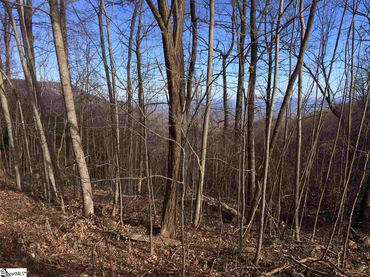 100 Deep Haven Lane Landrum, SC 29356 - Photo 2 of 9