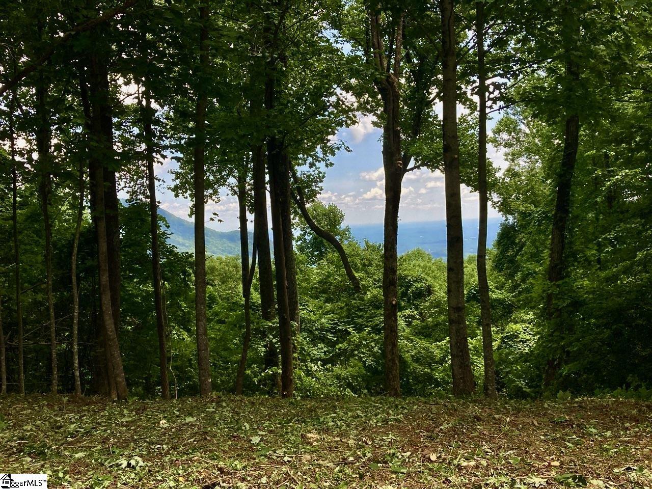 100 Deep Haven Lane Landrum, SC 29356 - Photo 3 of 9