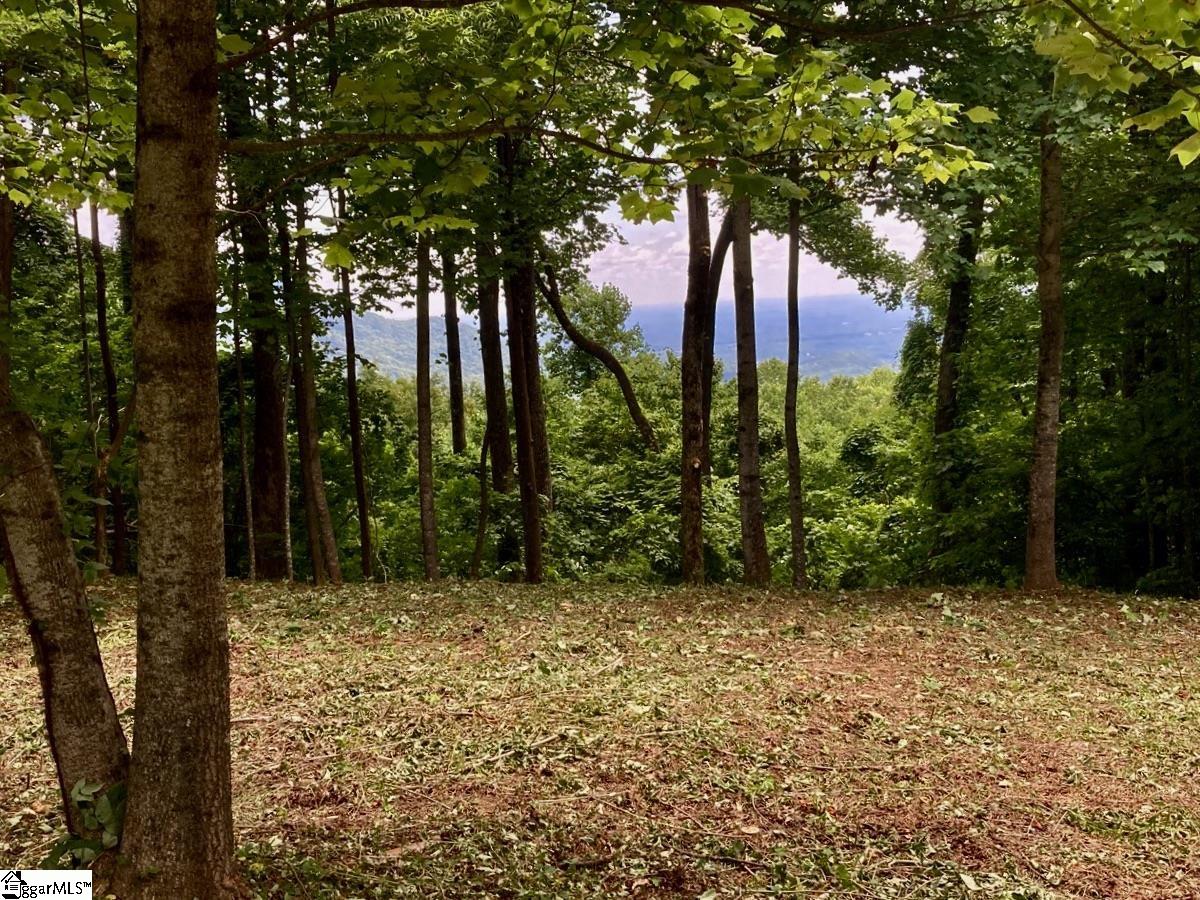 100 Deep Haven Lane Landrum, SC 29356 - Photo 4 of 9